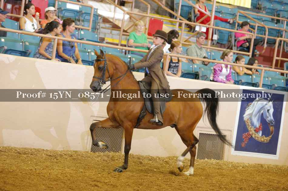Proof 15YN_08571