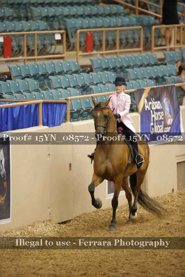 Proof 15YN_08572