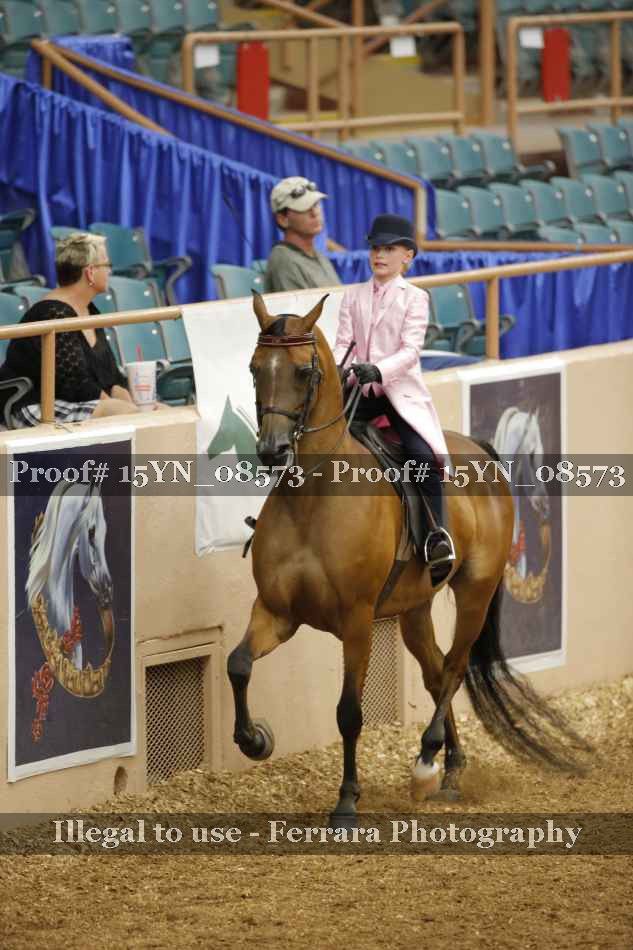 Proof 15YN_08573