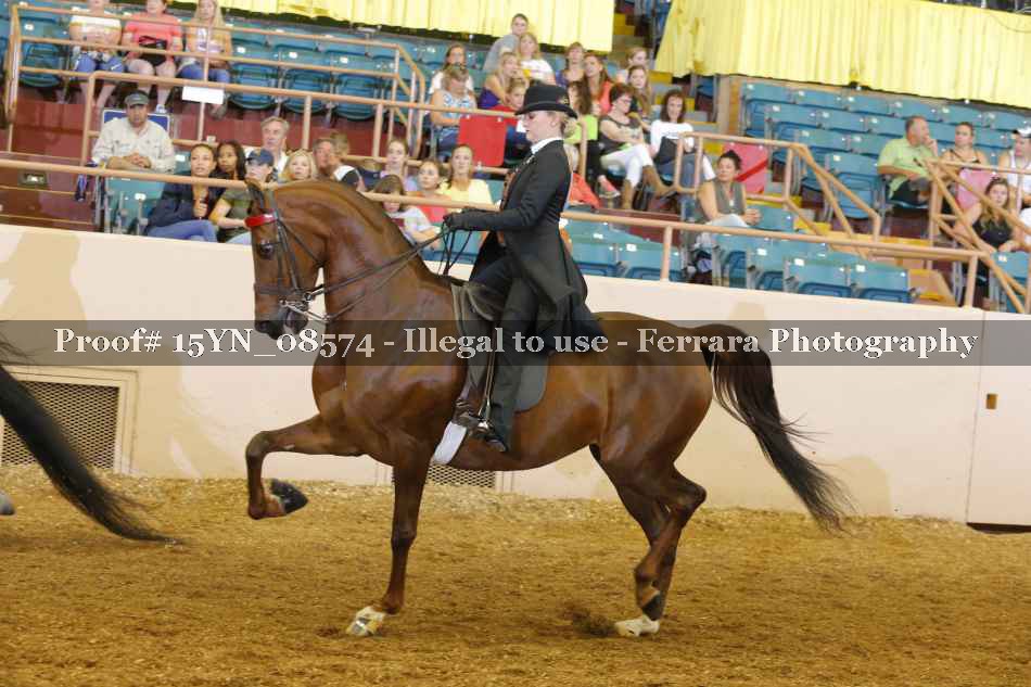 Proof 15YN_08574