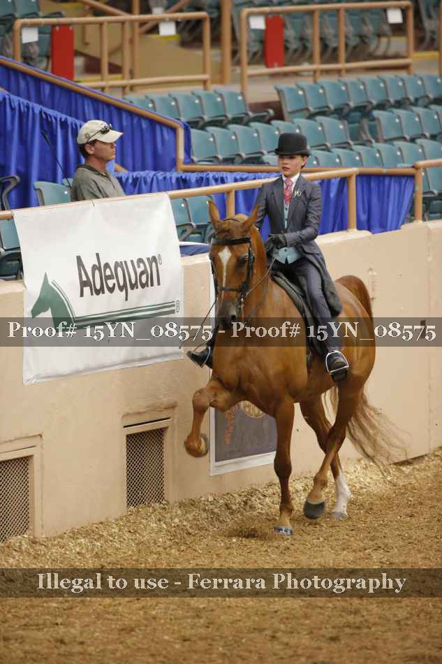 Proof 15YN_08575