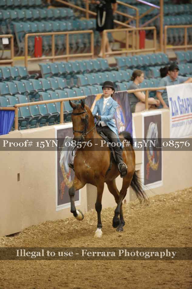 Proof 15YN_08576