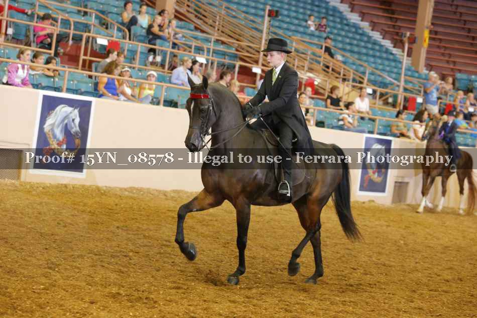 Proof 15YN_08578