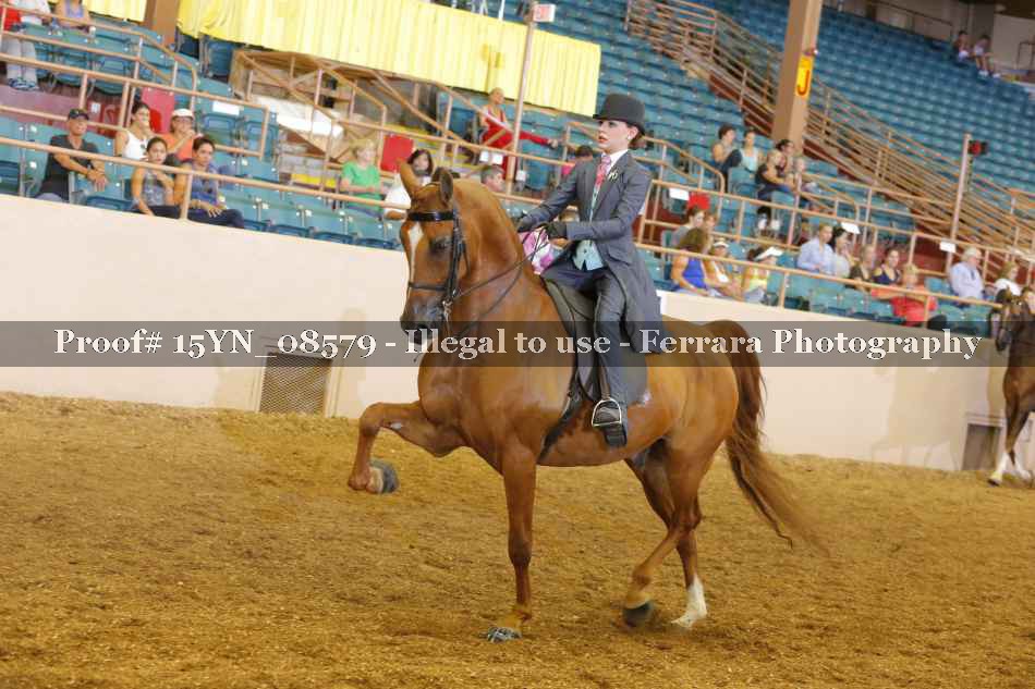 Proof 15YN_08579