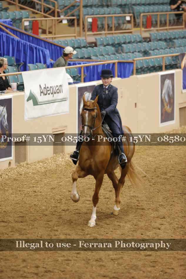 Proof 15YN_08580