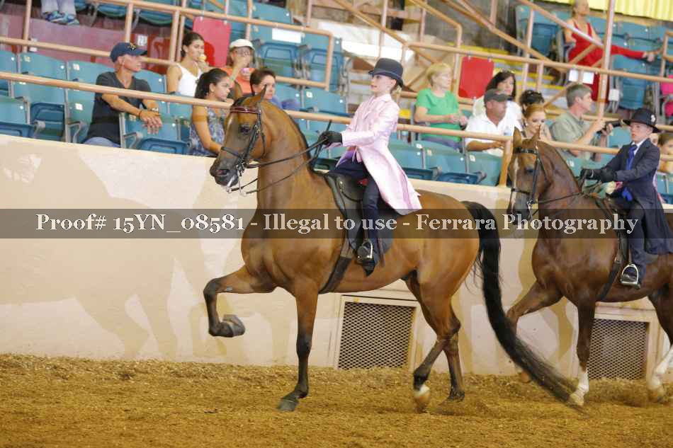 Proof 15YN_08581