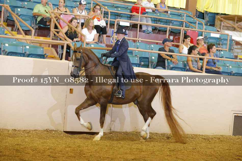 Proof 15YN_08582