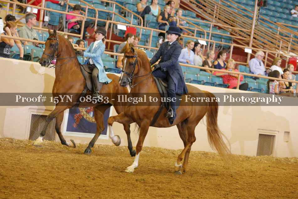 Proof 15YN_08583