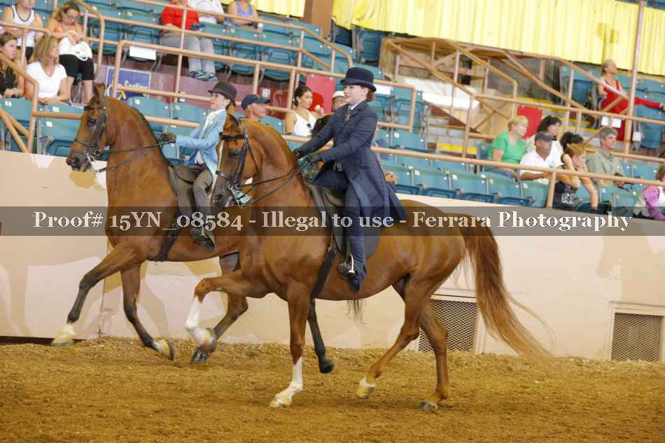 Proof 15YN_08584