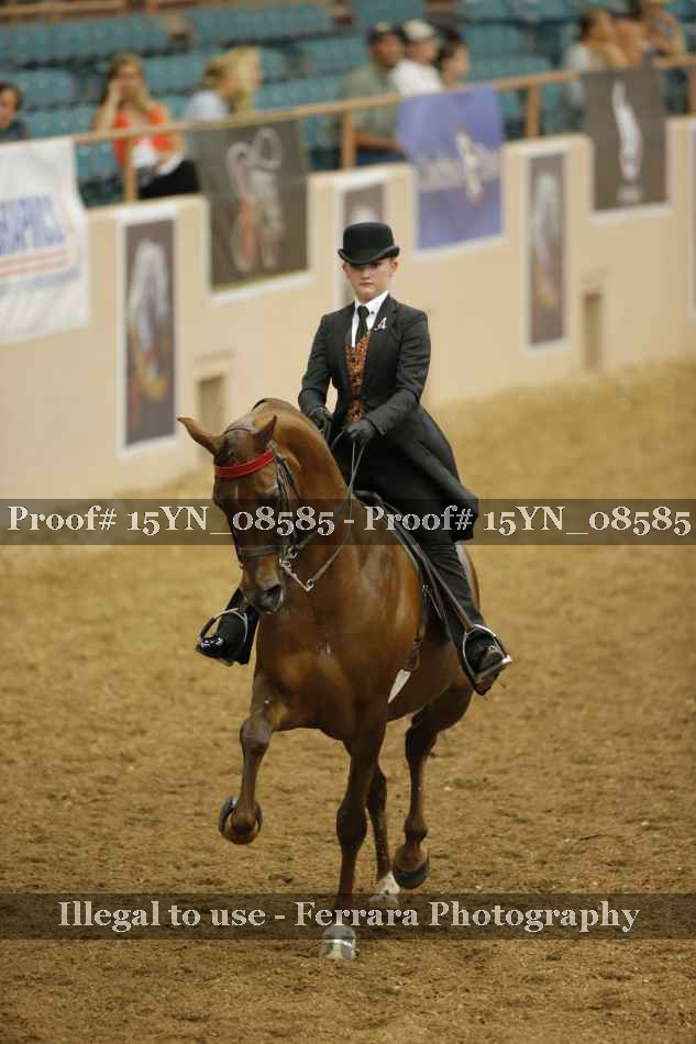 Proof 15YN_08585