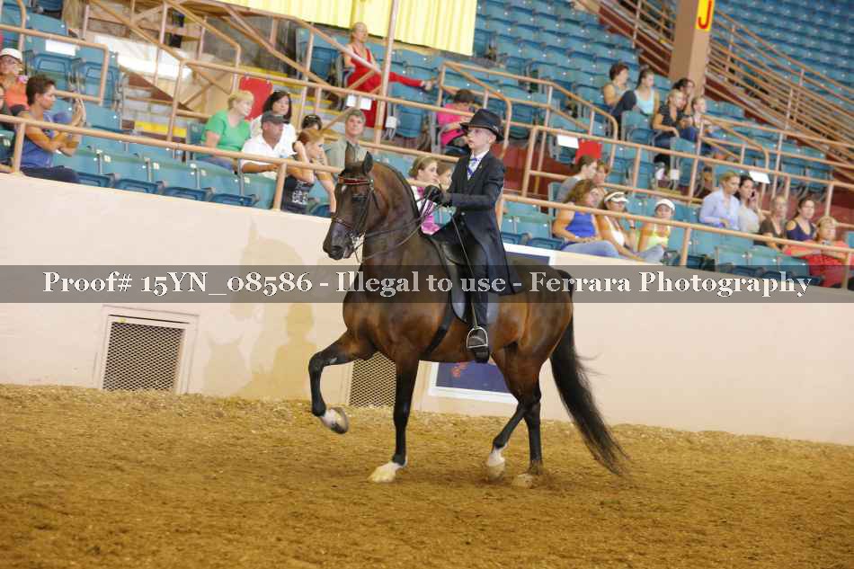Proof 15YN_08586