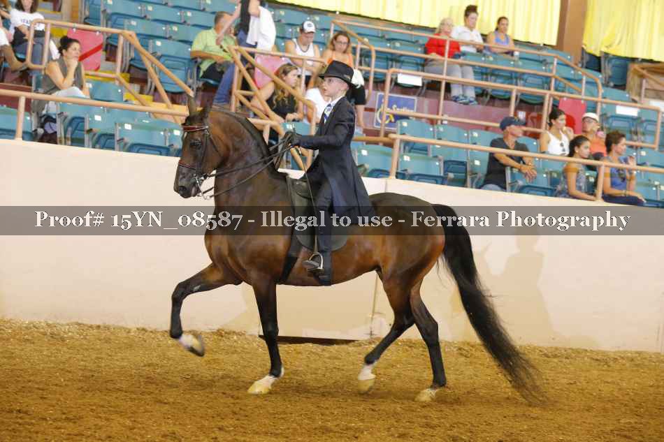 Proof 15YN_08587