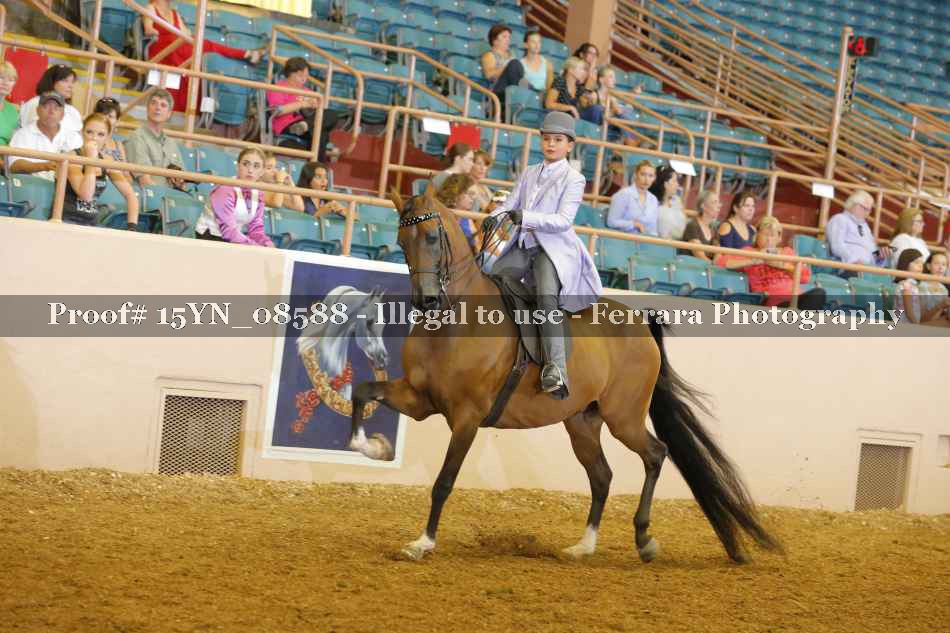Proof 15YN_08588