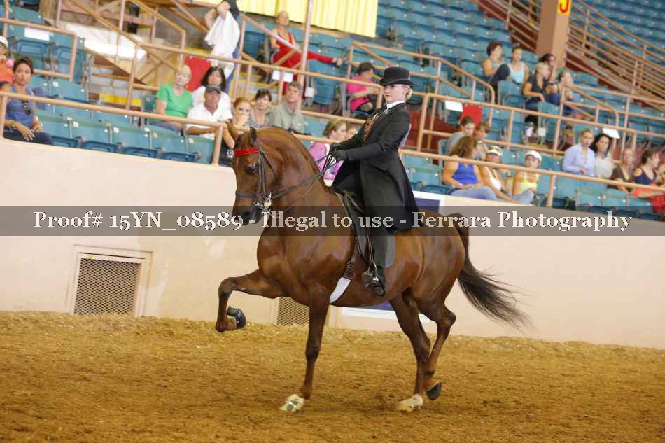 Proof 15YN_08589