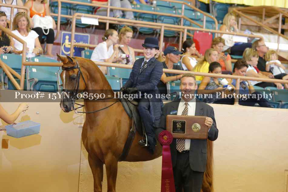 Proof 15YN_08590