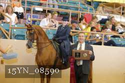 15YN_08590 proof