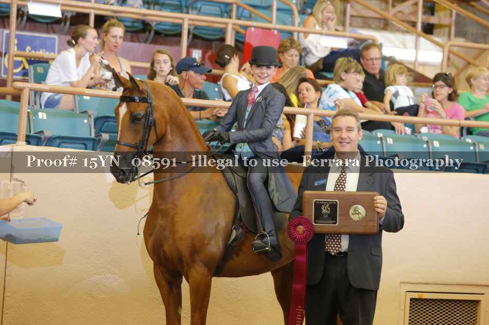 Proof 15YN_08591