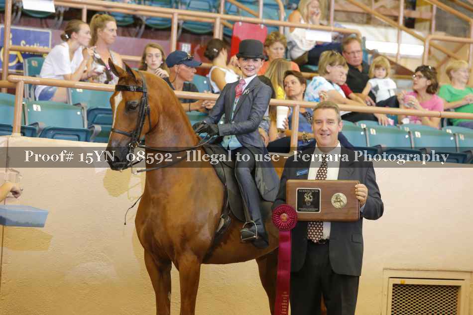 Proof 15YN_08592