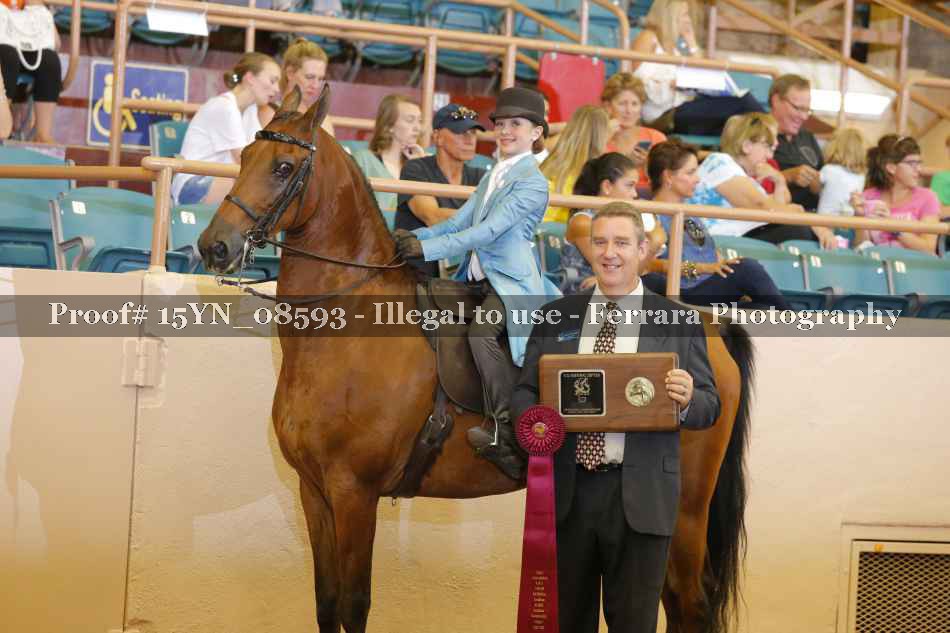 Proof 15YN_08593