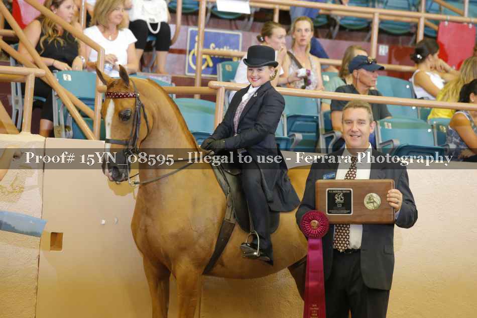 Proof 15YN_08595