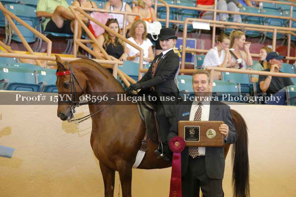 Proof 15YN_08596