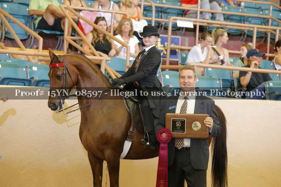Proof 15YN_08597