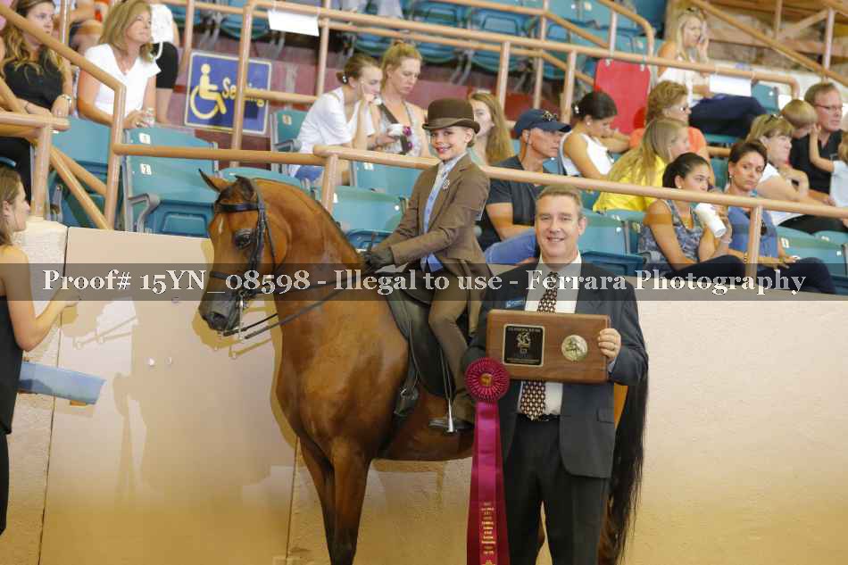 Proof 15YN_08598