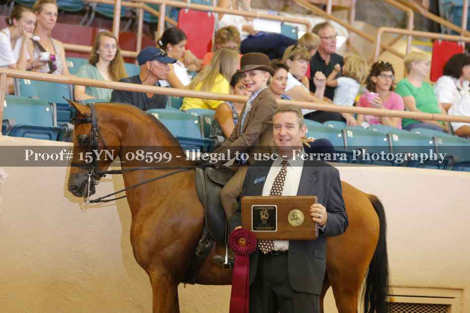 Proof 15YN_08599