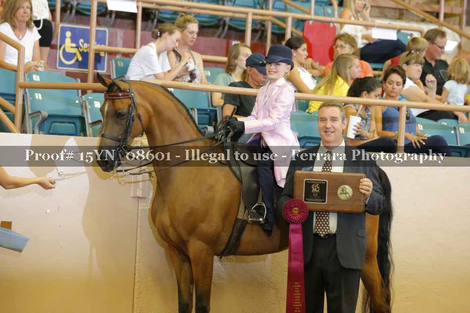 Proof 15YN_08601