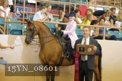 15YN_08601 proof