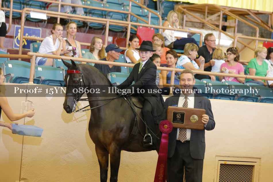 Proof 15YN_08602