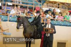 15YN_08602 proof