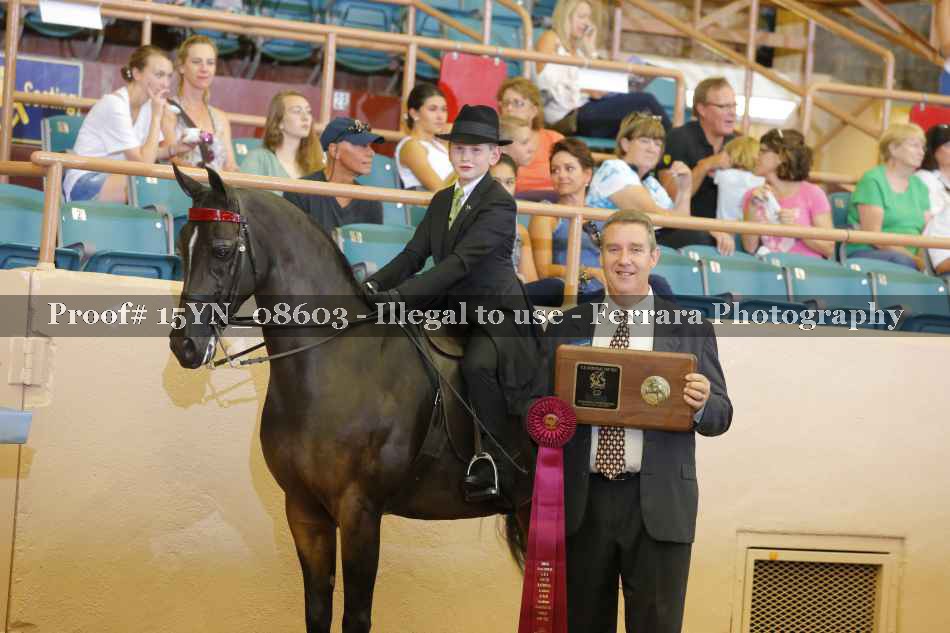 Proof 15YN_08603