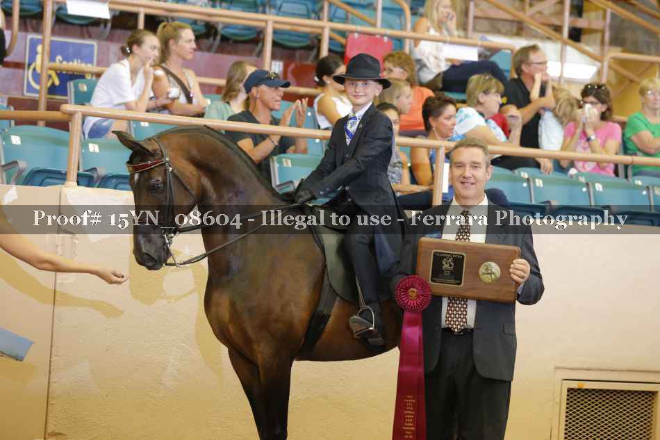 Proof 15YN_08604