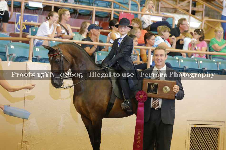 Proof 15YN_08605