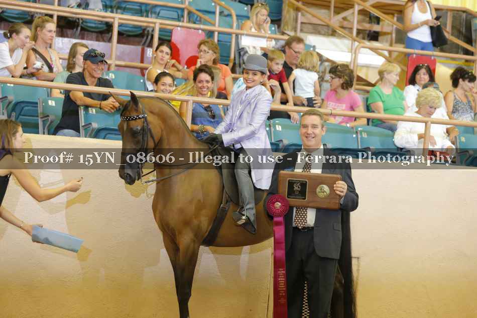 Proof 15YN_08606