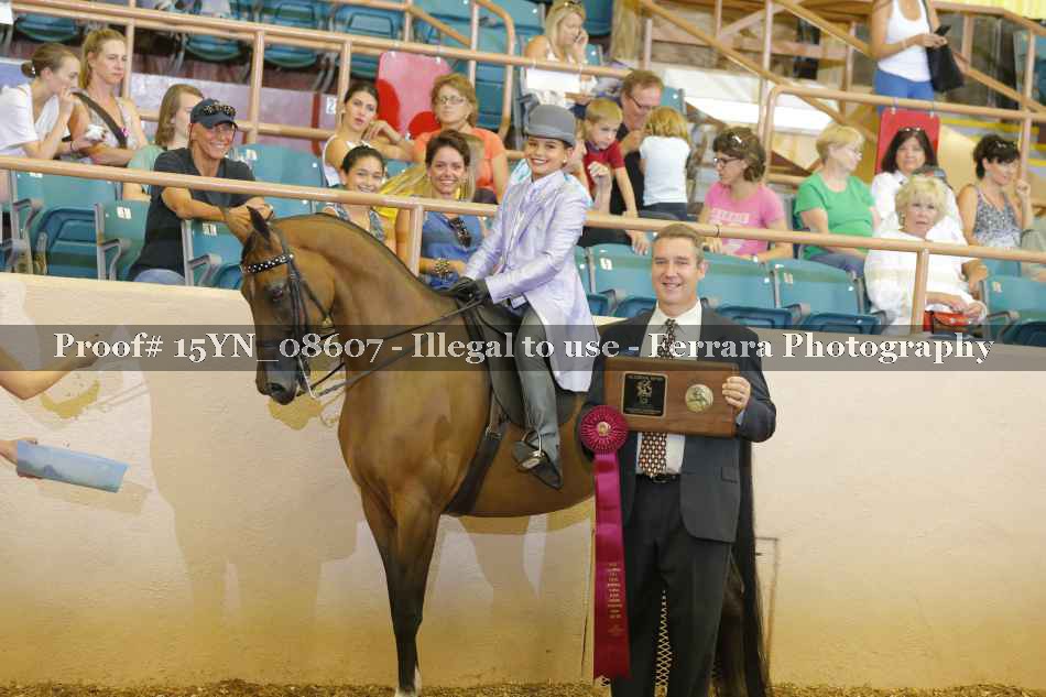 Proof 15YN_08607