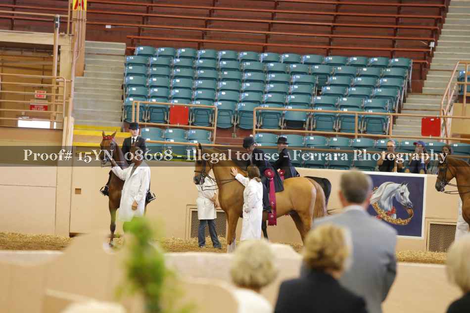 Proof 15YN_08608