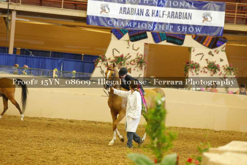 Proof 15YN_08609