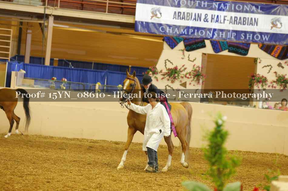 Proof 15YN_08610