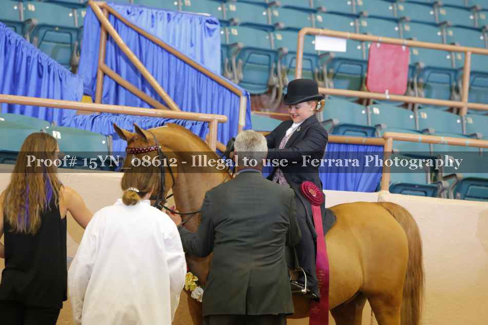 Proof 15YN_08612