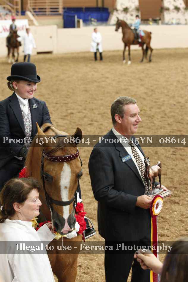 Proof 15YN_08614