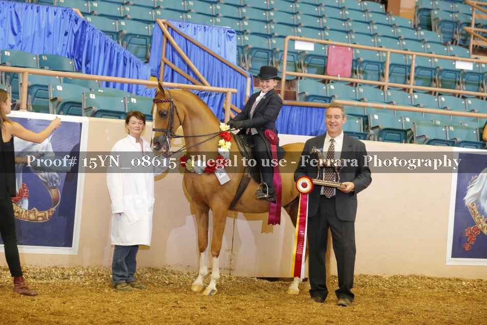Proof 15YN_08615