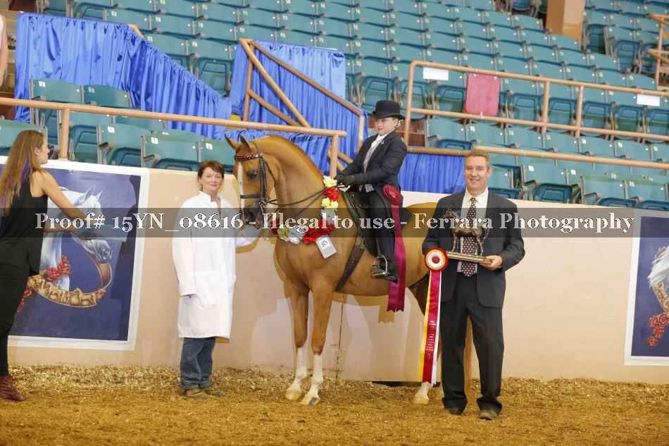 Proof 15YN_08616