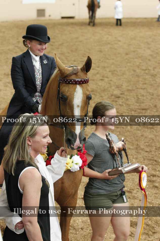 Proof 15YN_08622