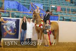 15YN_08623 proof