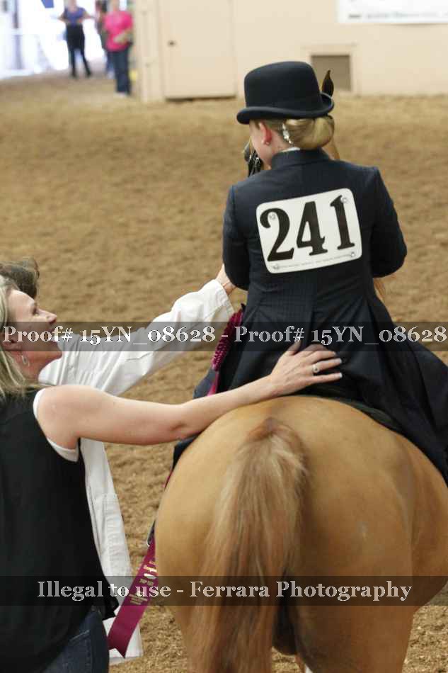 Proof 15YN_08628