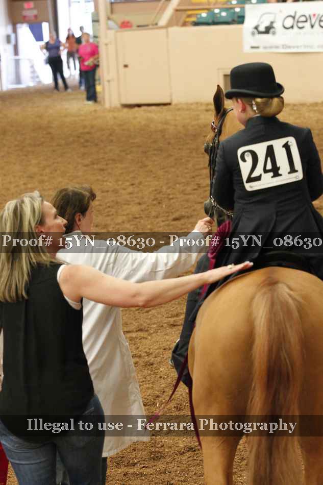 Proof 15YN_08630