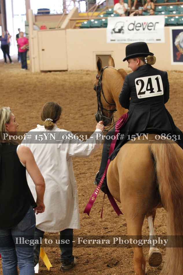 Proof 15YN_08631