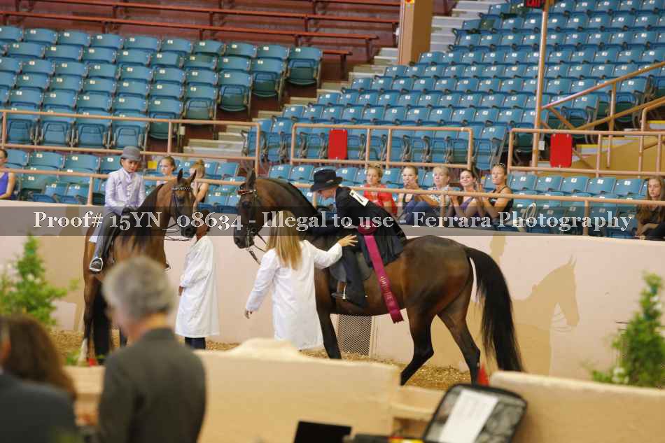 Proof 15YN_08634